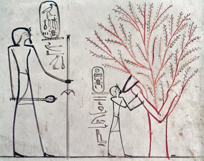 伊希斯蜕变成美国梧桐树哺乳Tuthmosis III（公元前1479-1425）（壁画） 作者 埃及第十八王朝