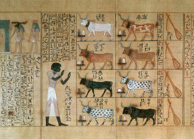 麦赫佩里《死者之书》中描绘牛的纸莎草纸 作者 埃及第十八王朝