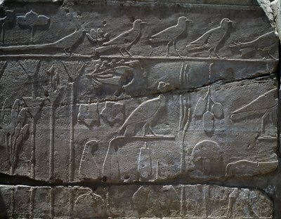 公元前 1465 年图特摩斯三世远征叙利亚带回的植物和动物，浮雕细节，被称为植物园的大厅，阿蒙神庙，卡纳克神庙建筑群，埃及文明，新王国，第十八王朝 作者 埃及第十八王朝