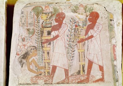 从新王国Merymaat墓（壁画）准备两个木乃伊用于净化仪式 作者 Egyptian 18th Dynasty