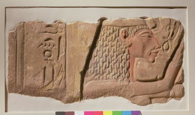 从新王国卡纳克（砂岩）救济纳芙蒂蒂 作者 Egyptian 18th Dynasty