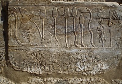 公元前 1465 年，图特摩斯三世从叙利亚征战归来时献给阿蒙的动物和植物浮雕，埃及卢克索忒拜墓地卡纳克植物园房间，新王国第十八王朝 作者 埃及第十八王朝