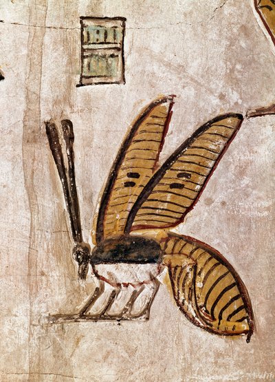 埃及艺术：塞提一世之墓（塞提一世或塞提一世，从 -1294 年到 -1279 年）。 蜜蜂的细节。 第十九王朝卢克索壁画（帝王谷底比斯遗址），埃及尼罗河左岸。 - 古埃及：塞提一世之墓（塞提一世和塞提一世，谁统治 作者 埃及第19王朝