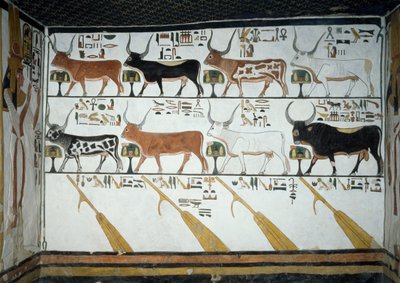 七头天牛、丈夫的公牛和四个舵手的船桨，《死者之书》第148章，底比斯卢克索皇后谷奈菲尔塔利墓第二室壁画的细节。埃及文明，新王国，第十九王朝。 作者 埃及第19王朝