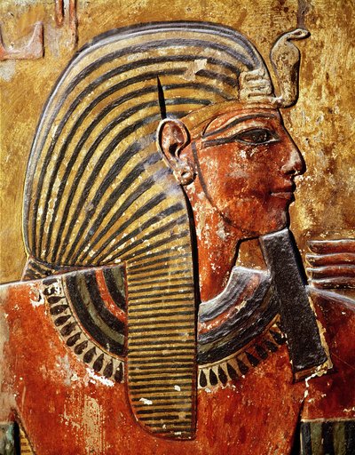 Seti I的头（公元前一二二四四四九九年）来自新王国塞提墓（壁画） 作者 Egyptian 19th Dynasty