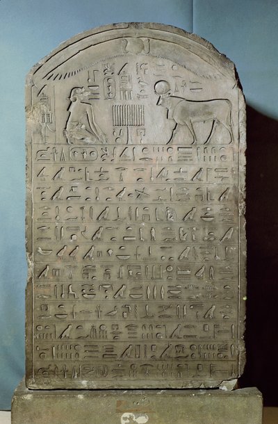 Stela纪念Apm公牛在Ahmose II（Amasis）统治期间从萨卡拉的Serapeum，公元前547年晚期（石灰岩）埋葬 作者 埃及第26王朝