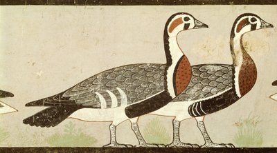 Meidum鹅，来自Nefermaat墓和Atet，旧王国，公元前26.26（画灰泥） 作者 埃及第四王朝