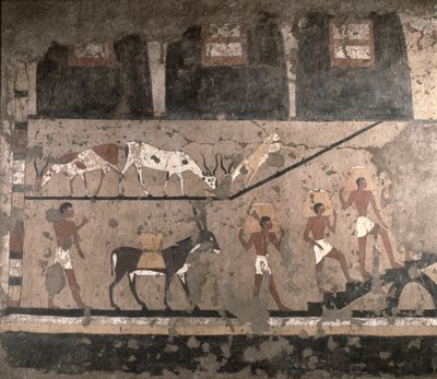 农业场景，壁画从旧国王国Sakkara的Mastaba移除，公元前244-4-2345（彩绘石灰石） 作者 埃及第五王朝