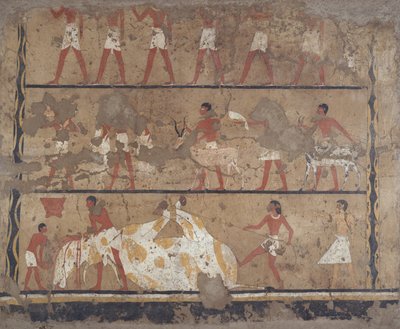 牛群饲养、屠宰、祭品和牺牲的场景，伊蒂和尼夫鲁墓（壁画） 作者 埃及第六王朝