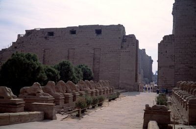 埃及古物：埃及卢克索卡纳克的狮身人面像(Sphinx at the head of beliers)的巷子(dromos) 作者 埃及人埃及人