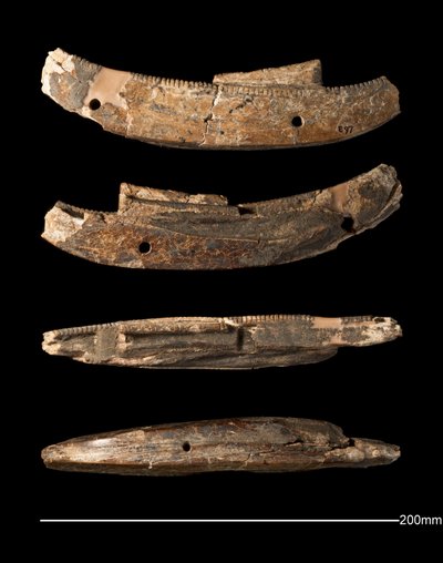 模型船，希拉孔波利斯，早期王朝时期（约2950-约2575 BC）（象牙雕刻 作者 Egyptian Egyptian