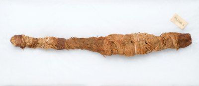 鳄鱼的木乃伊，发现于公元前305  -  30年的曼法隆（动物遗骸和亚麻） 作者 埃及托勒密时期