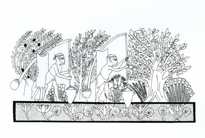 古老的埃及花园 作者 埃及学派
