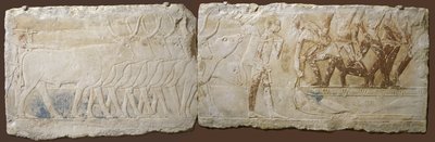 公元前2450年至2290年（古代王国，公元前2450年至2290年）（农村石灰岩） 作者 埃及学派