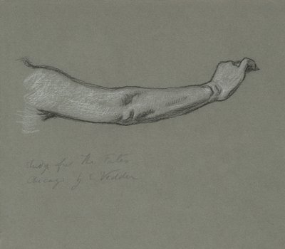 命运聚集在星空》的研究，1884-1887。 作者 伊莱休·维德