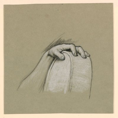 人物研究 作者 伊莱休·维德