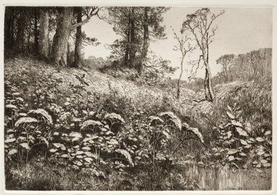 夏天的午后》，1882年。 作者 埃利斯·F·米勒