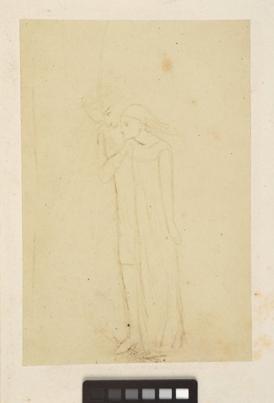 设计和草图 作者 伊丽莎白·埃莉诺 (1834 62) 西达尔