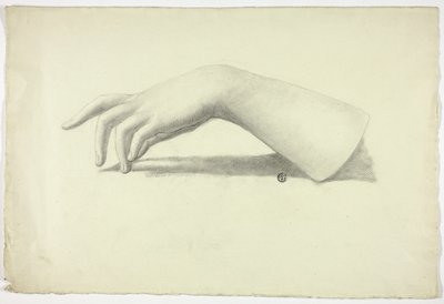 左前臂和手 作者 伊丽莎白·默里