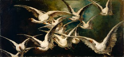 雁群 作者 伊丽莎白·诺瑟斯