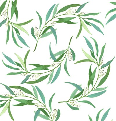 桉树叶，2018（水彩和丙烯酸） 作者 伊丽莎白·里德