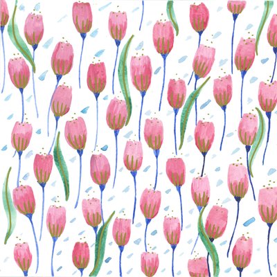 粉色郁金香，2017（水彩画） 作者 伊丽莎白·里德