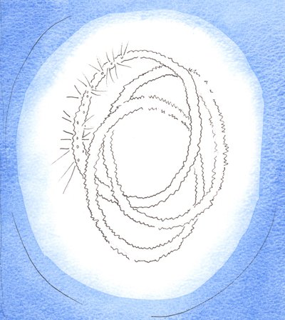 俄罗斯结婚戒指：三重结婚戒指是神格的象征，简单而美丽，2001年（纸上写有w - c） 作者 伊丽莎白王