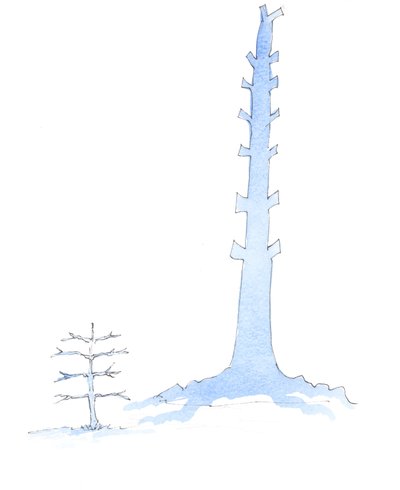 随着一棵巨大的橡树从幼树生长而来，教堂也不断发展壮大，2003年（纸上有水） 作者 伊丽莎白王