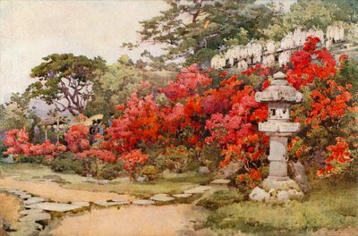 杜鹃花，阿瓦塔（彩色平版印刷） 作者 艾拉·杜甘蔗
