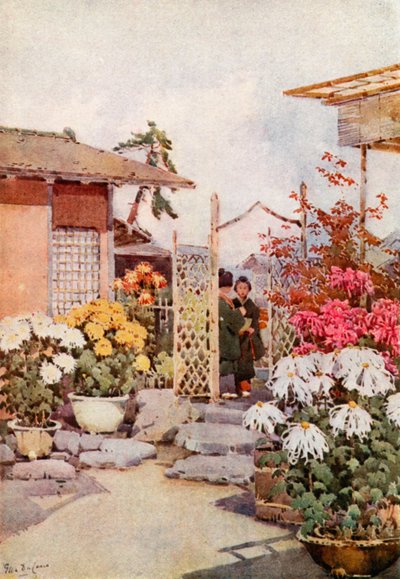 菊花，京都（彩色石版画） 作者 艾拉·杜甘蔗