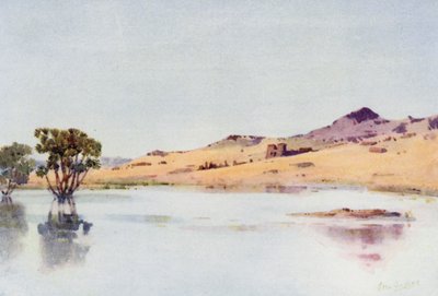 El Sebua，努比亚（彩色平版印刷） 作者 艾拉·杜甘蔗