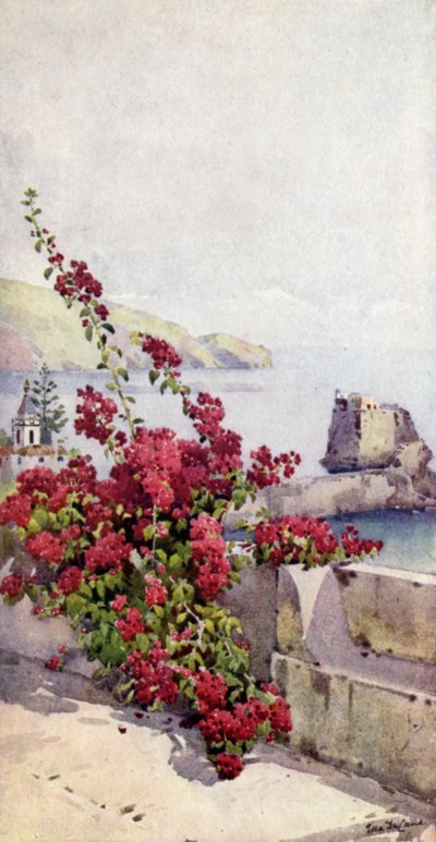 Loo Rock，丰沙尔（彩色光刻） 作者 艾拉·杜甘蔗