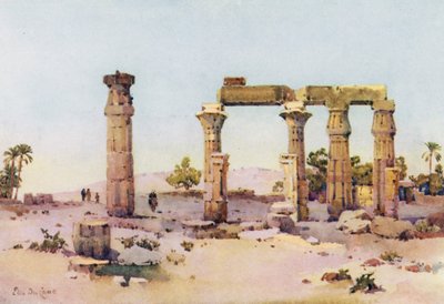 Medamut（彩色平版印刷） 作者 艾拉·杜甘蔗