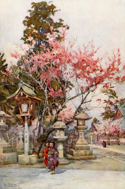 梅花灯笼（彩色平版） 作者 艾拉·杜甘蔗
