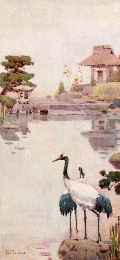 鹳雀》（彩色印刷版） 作者 艾拉·杜甘蔗