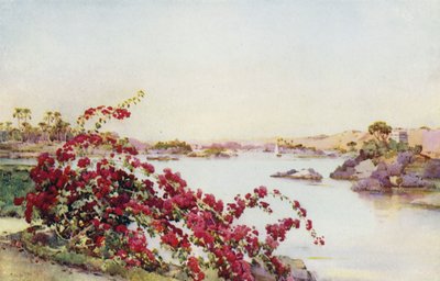 从阿苏安 (Assuan) 萨达尔岛 (Sirdar