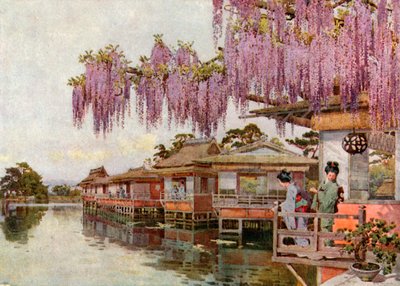 长冈 Wistaria（彩色印刷版） 作者 艾拉·杜甘蔗