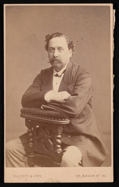 大卫-福布斯的肖像 1828-1876年，1874年。 作者 埃利奥特和弗莱