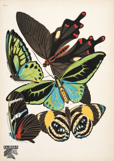 图版 1，选自《Papillons》，1925 年出版。1925 年（pochoir 印刷品） 作者 埃米尔·阿兰·塞盖