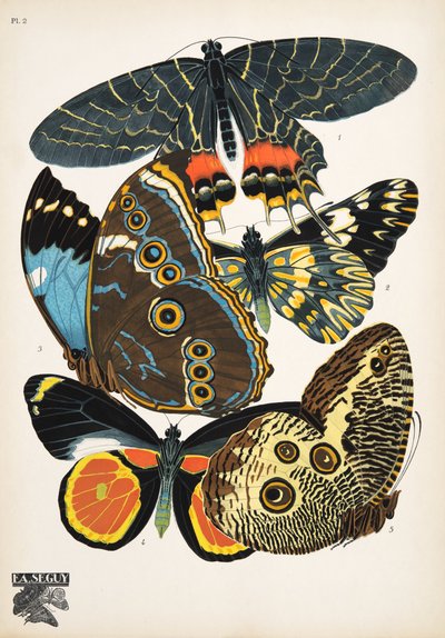 图 2，来自 Butterflies，酒吧。 1925 年（模板印刷） 作者 埃米尔·阿兰·塞盖