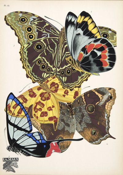 第 15 版，来自 Butterflies，酒吧。 1925 年（模板印刷） 作者 埃米尔·阿兰·塞盖