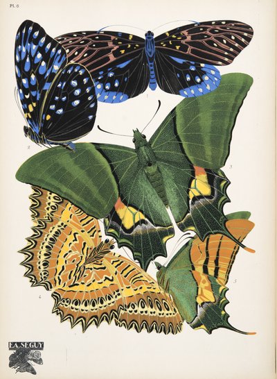 插图 6，选自 Papillons，出版于 1925 年（pochoir 版画）。1925 年（pochoir 印刷品） 作者 埃米尔·阿兰·塞盖