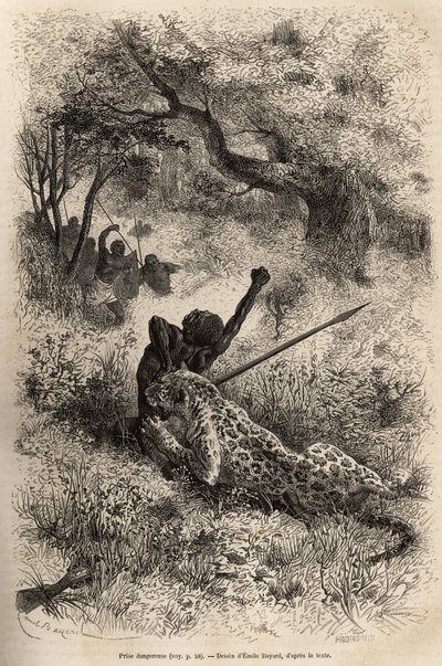 A leopard leaps on a man and bites him cruelly on his back, in the vicinity of Bambare (Congo), engraving after a drawing by Emile Bayard, illustrating David Livingstone
