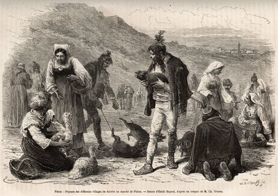 The peasants in the vicinity of Pisino (Croatia), gather for the sale of their farm products on the market: poultry, piglets..., engraving after a drawing by Emile Bayard illustrating the journey in Istria and Dalmatia, in 1874, by Charles Yriarte, publish 作者 埃米尔·安托万·贝亚德