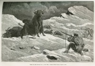 Wild yak hunting scene, drawing by Emile Bayard to illustrate the journey to Mongolia and the land of the Tangoutes from 1870 to 1873, by Lieutenant Colonel Prjewalski. Engraving in Le tour du monde 作者 埃米尔·安托万·贝亚德