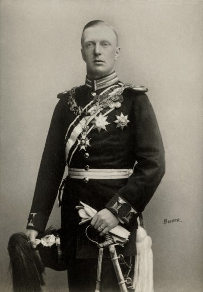 梅克伦堡公爵，荷兰王子王妃亨利肖像 ( 1876) 作者 埃米莉·比伯（Emilie Bieber）