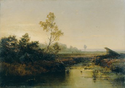 Moorlandschaft 作者 埃米莉·梅迪兹·鹈鹕