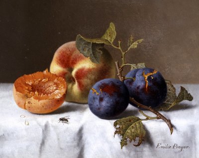 桃子和烂李子的静物。Emilie Preyer（1849-1930 年）的画作，私人收藏。 作者 埃米莉·普雷耶（Emilie Preyer）