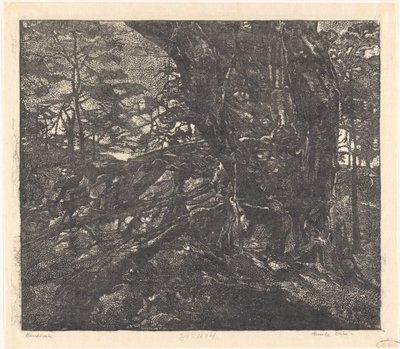 埃格蒙德和卑尔根之间沙丘边缘的树木 作者 Emilius Wilhelmus Dehé（艺术家签名）
