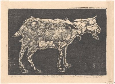 山羊 作者 Emilius Wilhelmus Dehé（艺术家签名）
